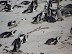 South Africa Day 7 - Cape Town