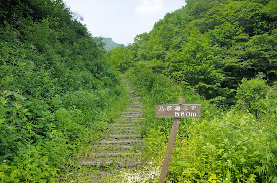 八反滝遊歩道