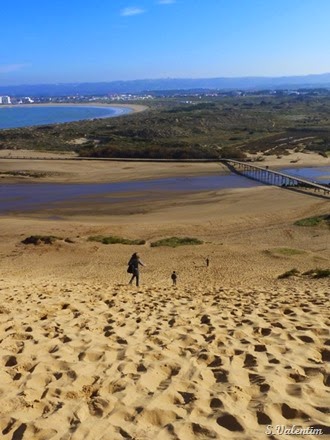 [P1140403%255B2%255D.jpg]