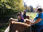 DSCF5120.JPG