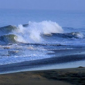 Marari Beach Resort