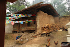 In Da Bao monastery old animals are taken care of