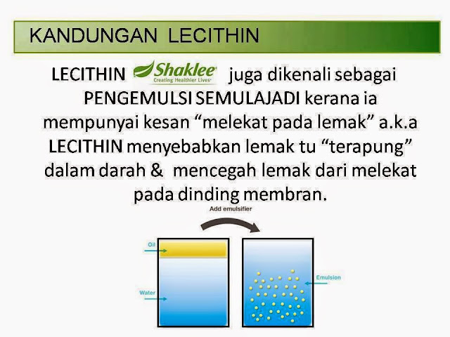 Lecithin untuk kurus