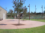 DSCN1065_001.jpg