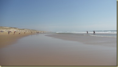 DSC05525 DSC05525