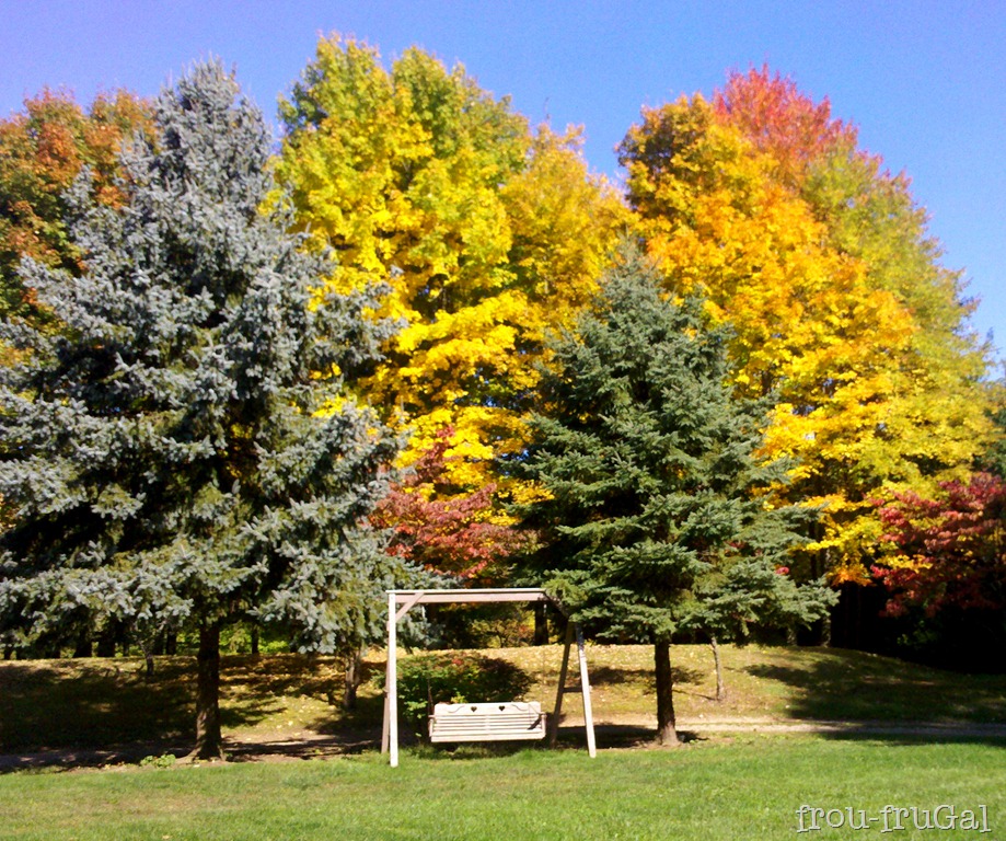[IMG_20111007_152403%255B3%255D.jpg]