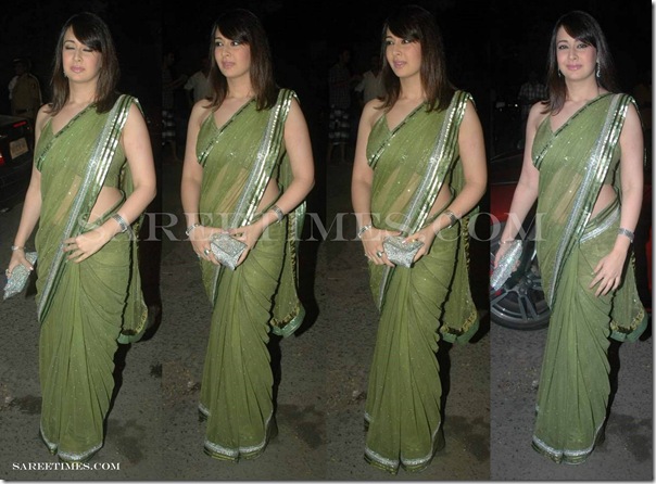Preeti_Jhangiani_Shimmer_Saree