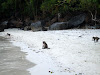 SDC10831 Phi Phi Adası Resimleri Fotoğrafları