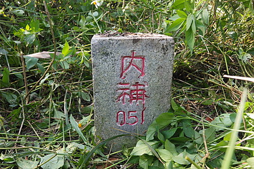 6t4 6t4