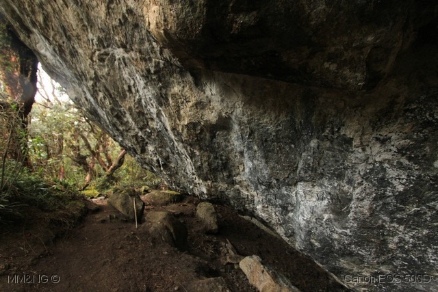 [IMG_3524%255B4%255D.jpg]