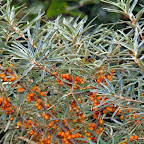 20100825_001_small.JPG