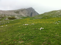 IMG_1333.JPG
