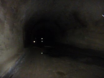 08.JPG