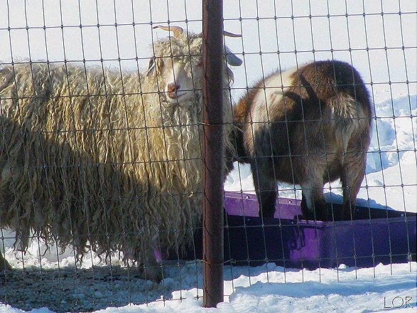 [IMG_820211.jpg]