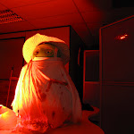 IMG_8252_v1.JPG