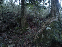 DSC_0070.JPG Photo