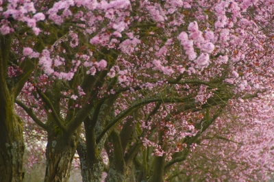Spring represents fresh starts and new beginnings. Jumpstart your metabolism with the following conditioning exercises.