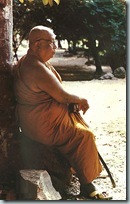 Ajahn Buddhadasa Bhikkhu