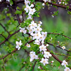 DSC_0611.JPG