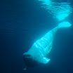 Ga & FL trip 168.JPG