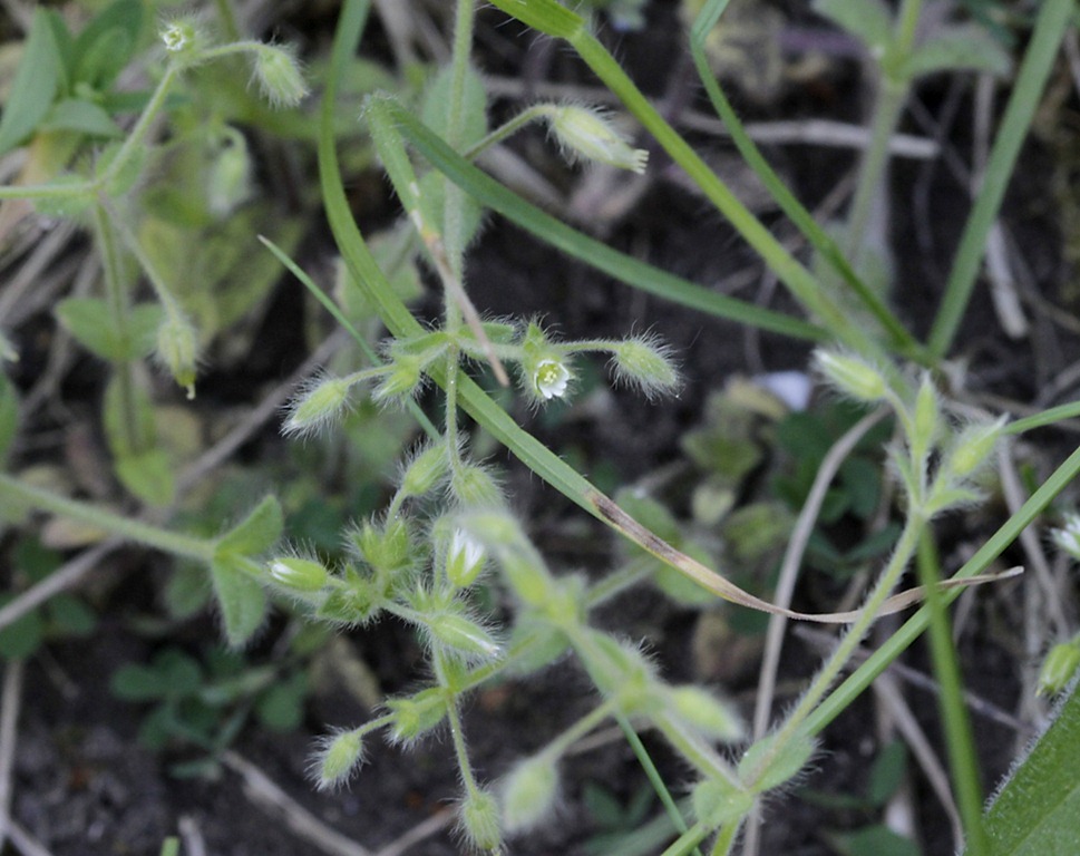 [11_05_02_longfield_061%255B1%255D.jpg]