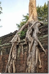 Cambodia Angkor Ta Prohm 131226_0460