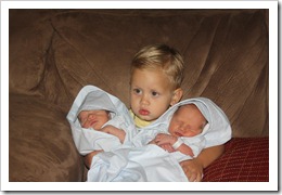 IMG_6377 IMG_6377