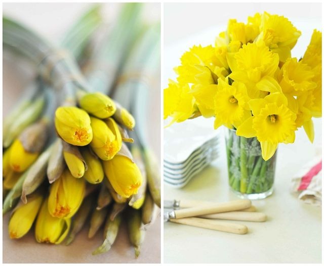 [6a00d83451be3369e20147e365aa33970b-h%255B2%255D.jpg]