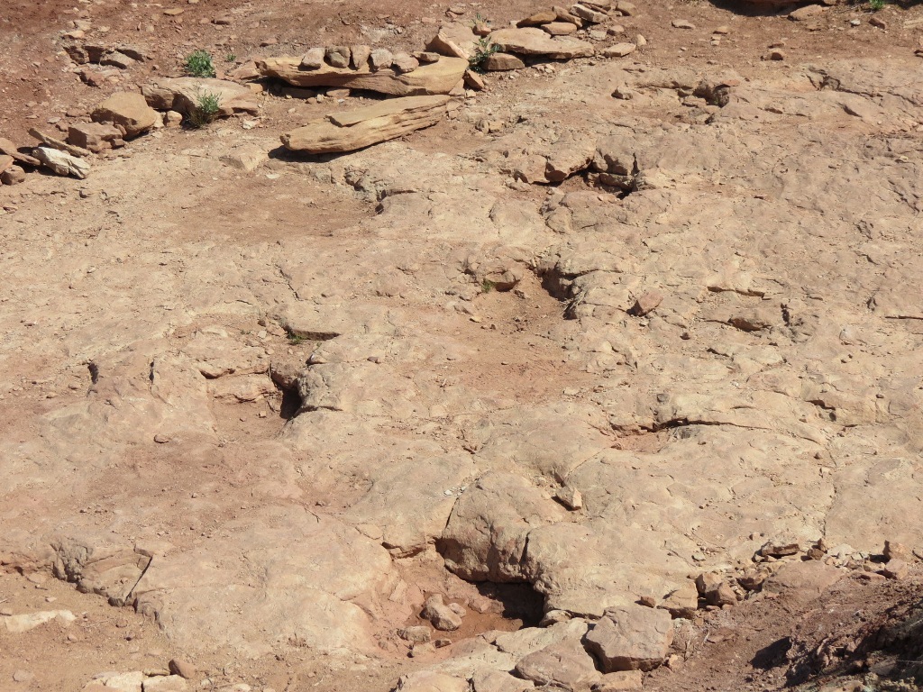 [moab_cooper_ridge_dino_tracks13.jpg]