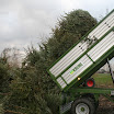 Tannenbaumaktion 08_736.jpg