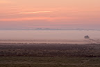 Sonnenaufgang im Teufelsmoor (Postwiesen)