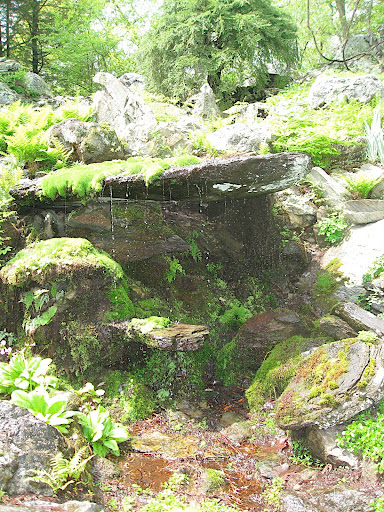 Though this water feature looks natural, it is created by the garden's designer.