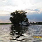IMG_8250.JPG