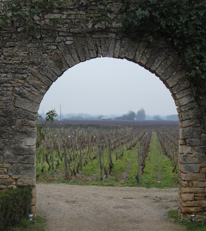 [IMG_059910.jpg]
