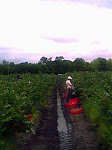 IMG0020A.jpg