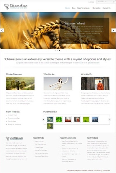 chameleon wordpress theme review