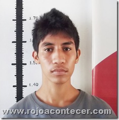 5 los roba puercos fueron detenidos 5 los roba puercos fueron detenidos