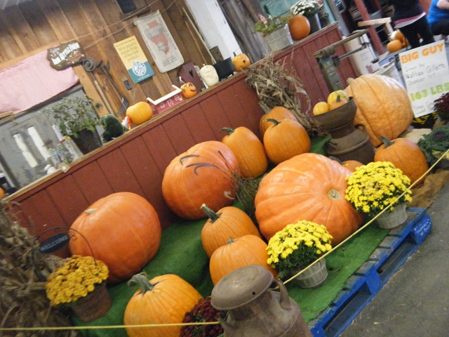 [Picture0592.jpg]