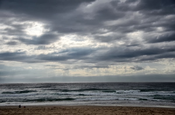 DSC_5625.JPG DSC 5625