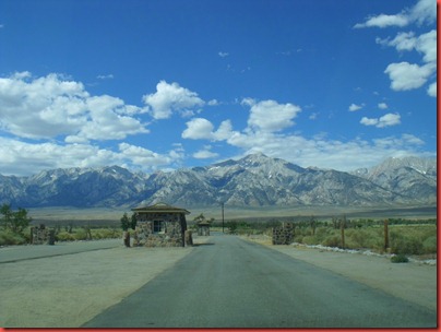 mammoth 003