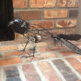 crow1a 007.JPG