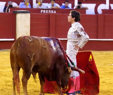 toros (12)