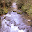 Ruakuri Bushwalk - Waitomo, New Zealand