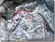 central fire central fire