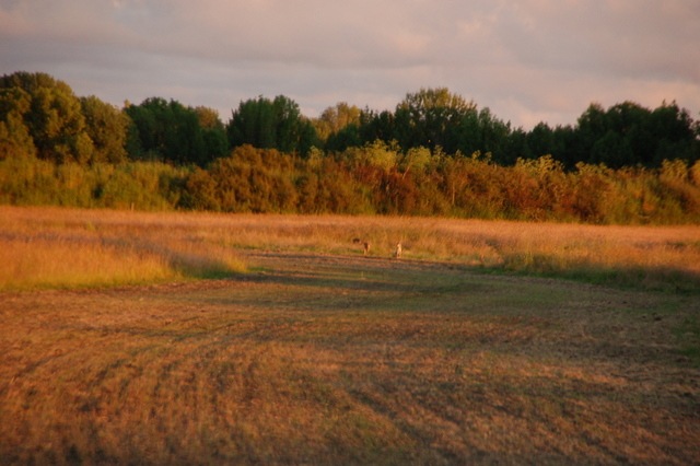 [DSC_6330%255B4%255D.jpg]