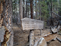 P8100324.JPG