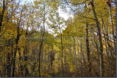 DSC_0689 DSC_0689