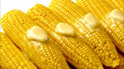 corn-on-the-cob.jpg