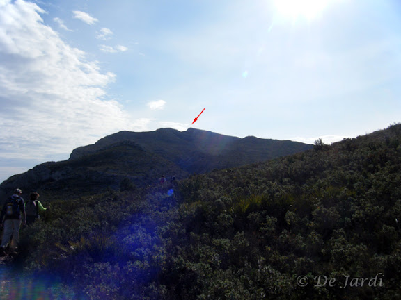 2012_02260005.jpg