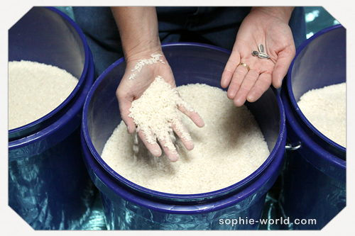 Amazing Race rice